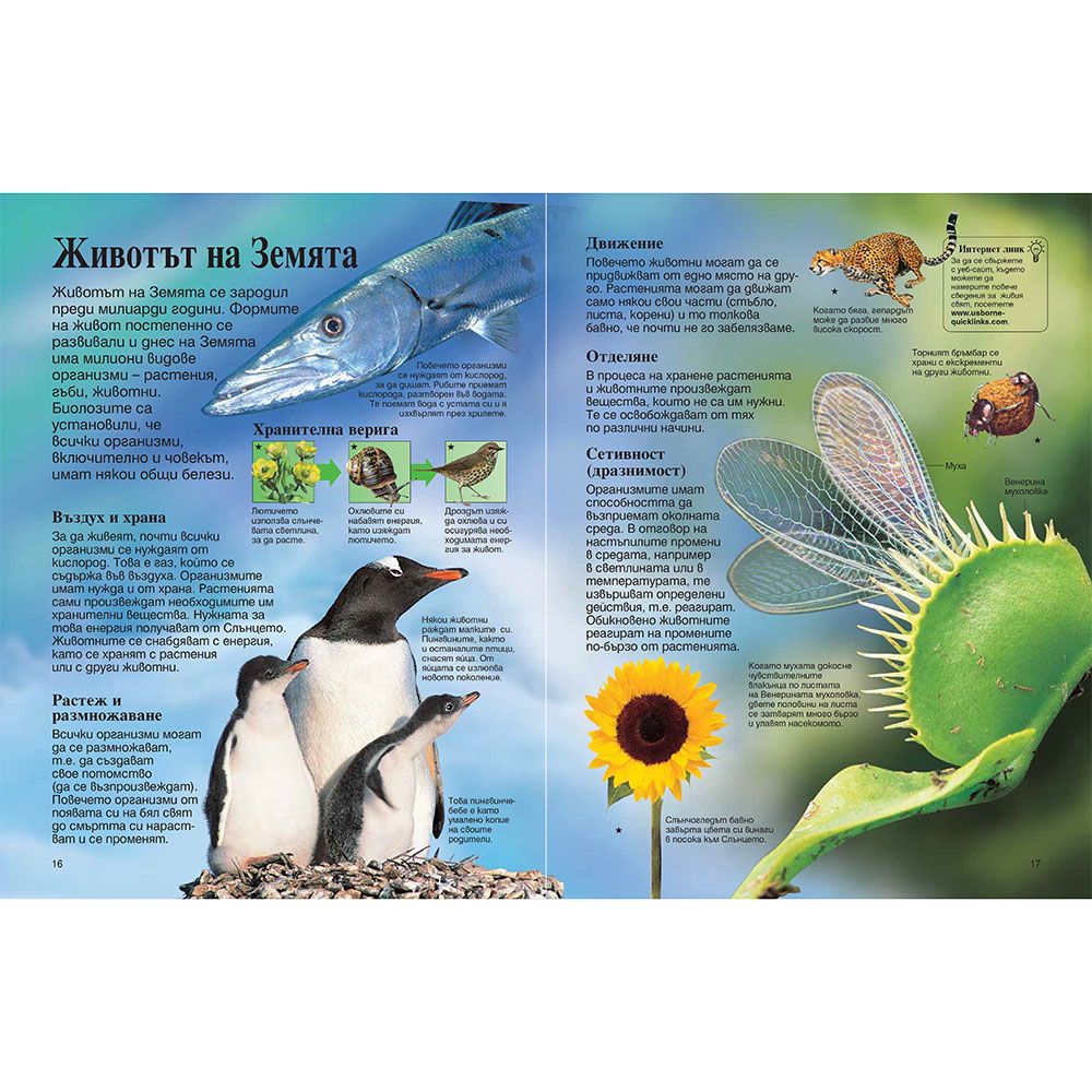 Моята първа енциклопедия за науката