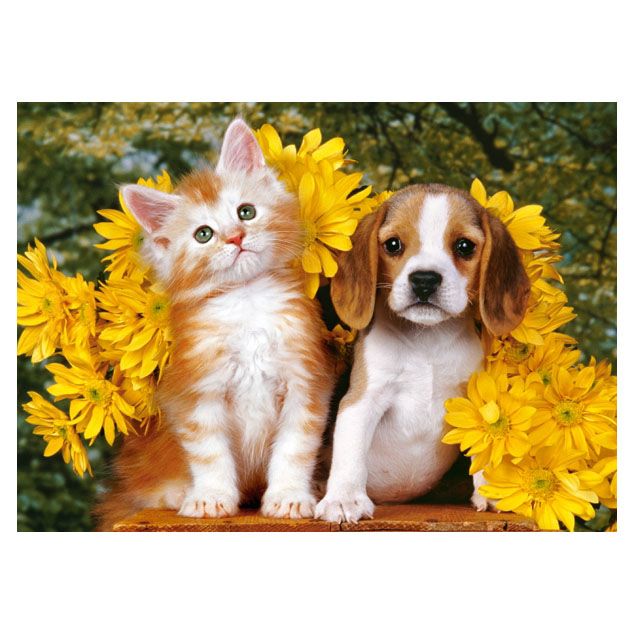 Коте, куче и цветя, пъзел 108 чаcти
