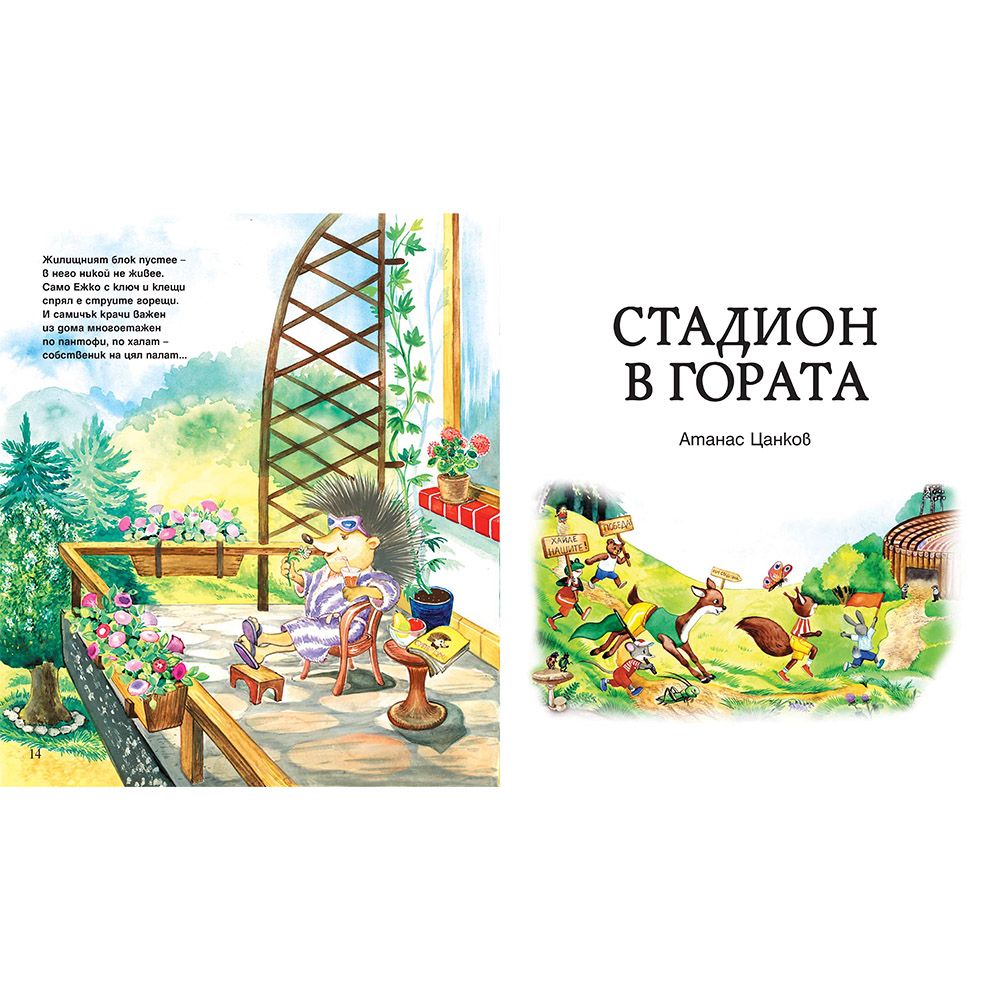 Горски жилищни неволи, Стадион в гората