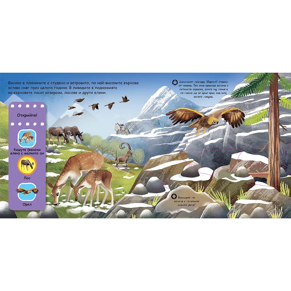 Животни сред снеговете