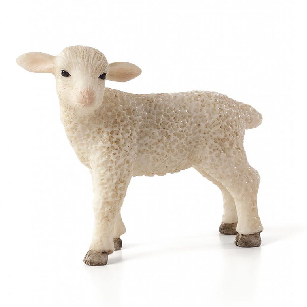 Mojo ANIMAL PLANET, Фигурка за игра и колекциониране, Овца, стояща