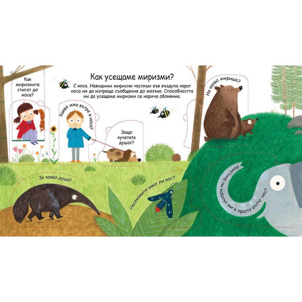 Как виждаме, как чуваме? Погледни под капачето!