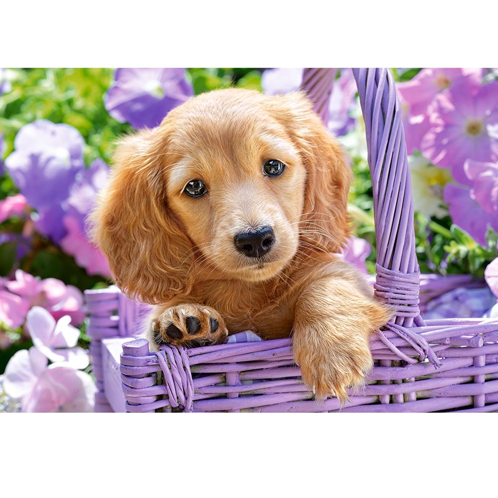 Малко сладко куче в кошница, пъзел 1000 части