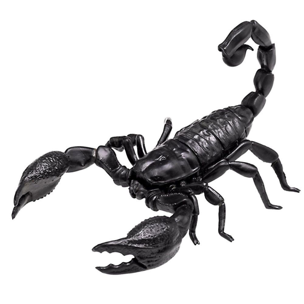 3D пъзел, Императорски скорпион, 20 части