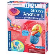 Човешкото тяло, Органи от пластилин