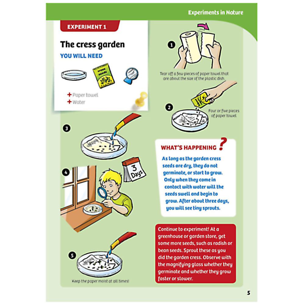 Първи стъпки в науката