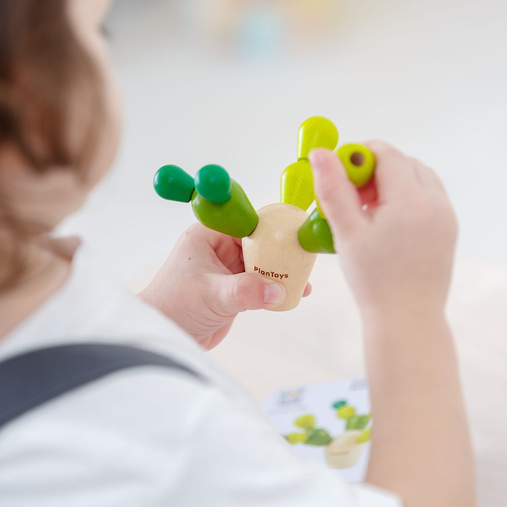Мини игра за баланс, Отгледай кактус